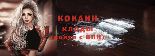 спиды Богородск