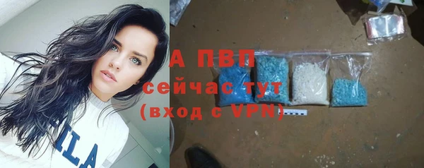 прущие крисы Армянск