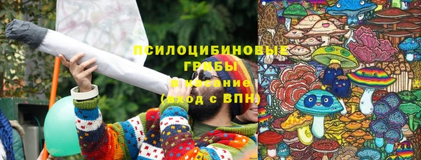 сатива Арсеньев