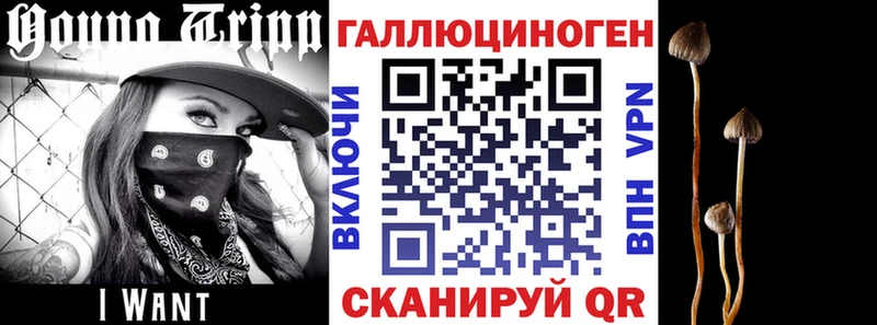 Псилоцибиновые грибы ЛСД  Красный Холм 